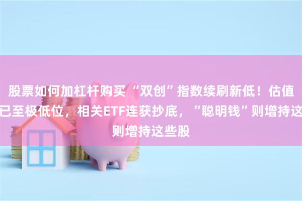 股票如何加杠杆购买 “双创”指数续刷新低！估值水平已至极低位，相关ETF连获抄底，“聪明钱”则增持这些股