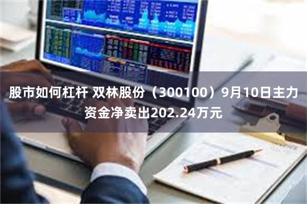 股市如何杠杆 双林股份（300100）9月10日主力资金净卖出202.24万元