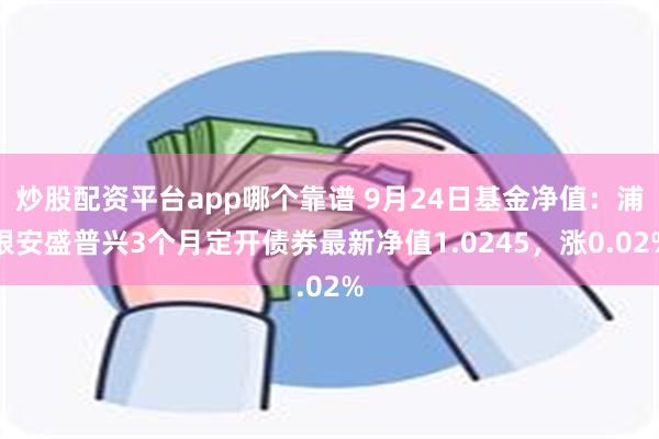 炒股配资平台app哪个靠谱 9月24日基金净值：浦银安盛普兴3个月定开债券最新净值1.0245，涨0.02%