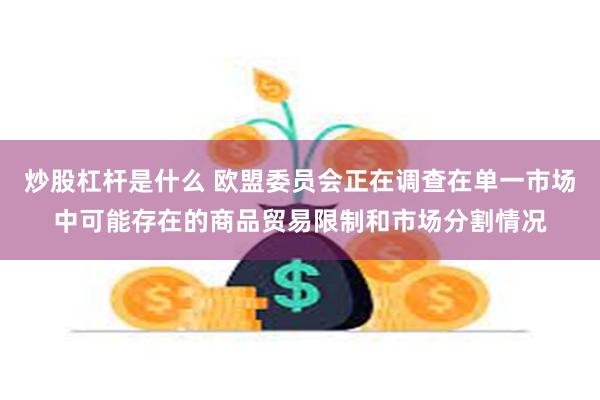 炒股杠杆是什么 欧盟委员会正在调查在单一市场中可能存在的商品贸易限制和市场分割情况